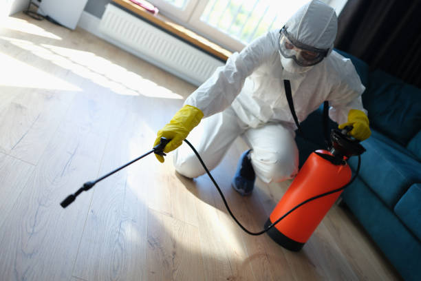 Pest and virus bacteria control contractor works in apartment. Disinfection of premises from insects and rodents with chemicals concept